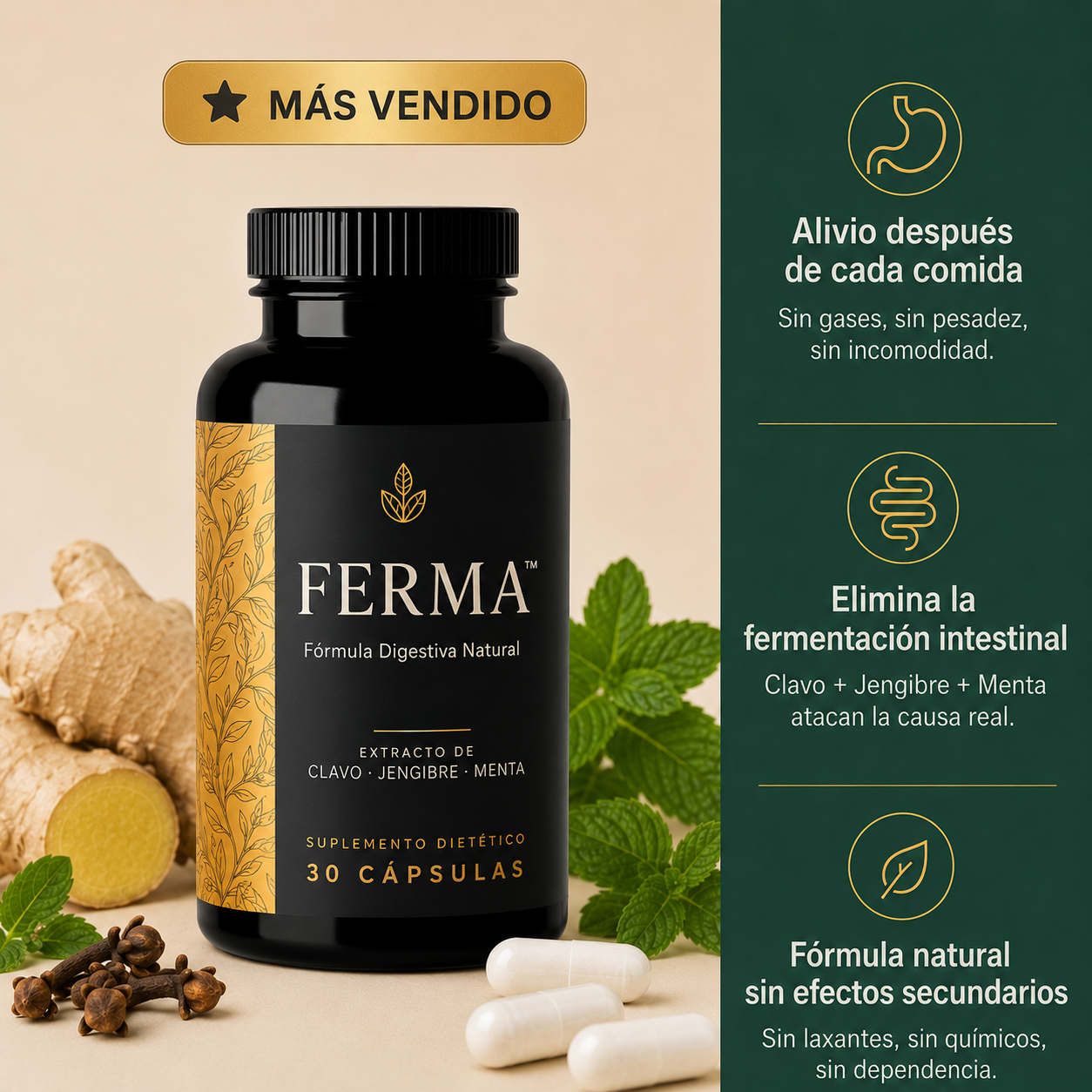 FERMA™ | LA FÓRMULA NATURAL PARA LOS GASES Y LA PESADEZ DESPUÉS DE COMER